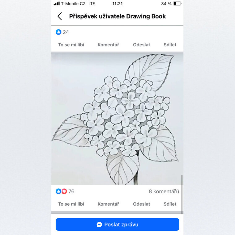 Gabriela Kutilova cover image
