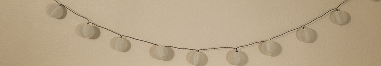Katie Rose banner image