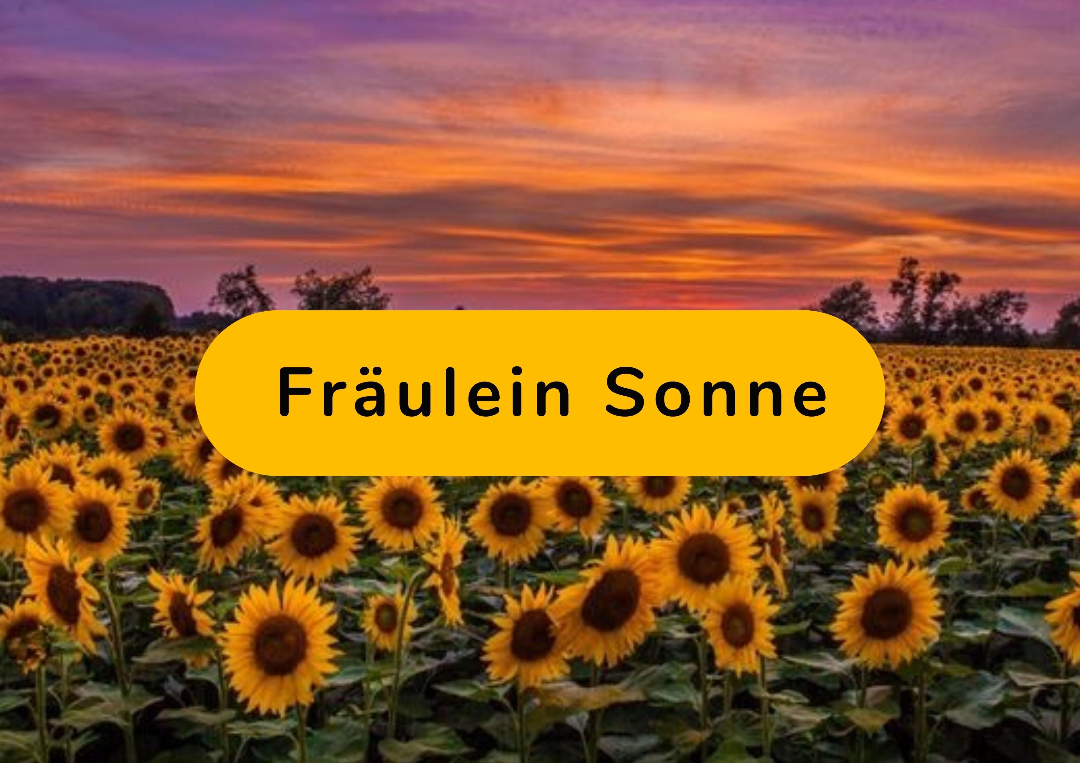 Miss Sun banner image
