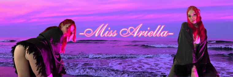 Ariel banner image