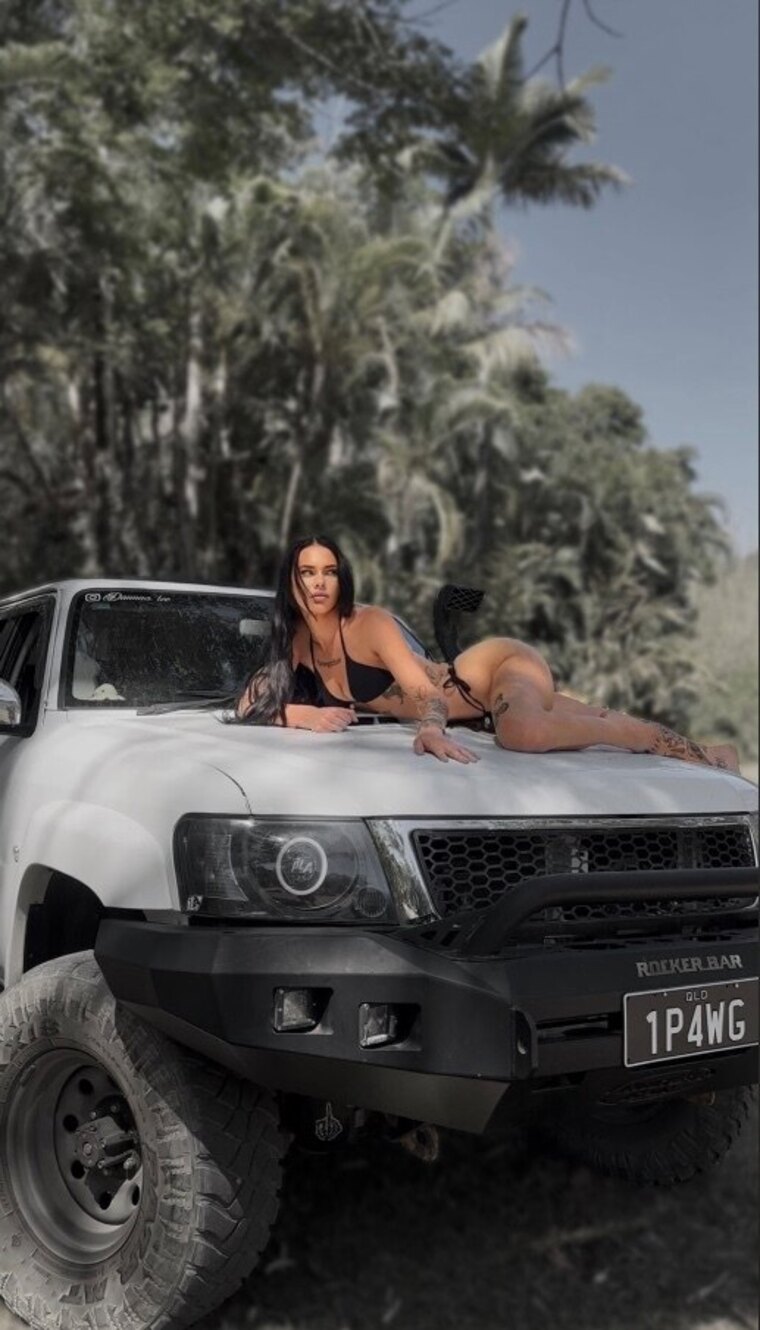 Diesel Dana cover image