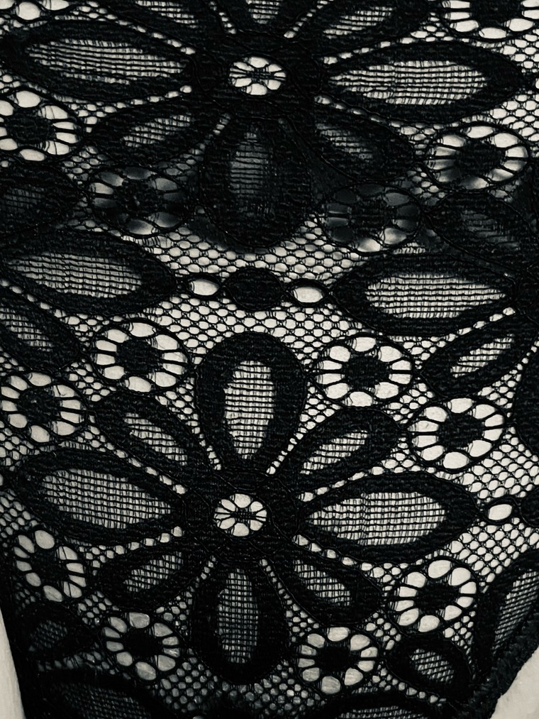 Miss_Molly_CH cover image