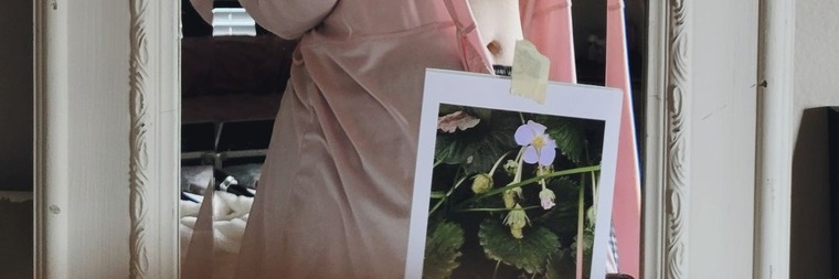 Miss Arden cover image