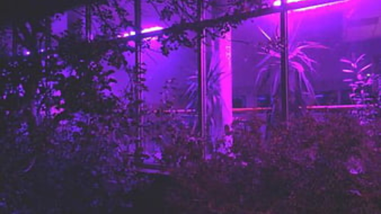 MissB banner image