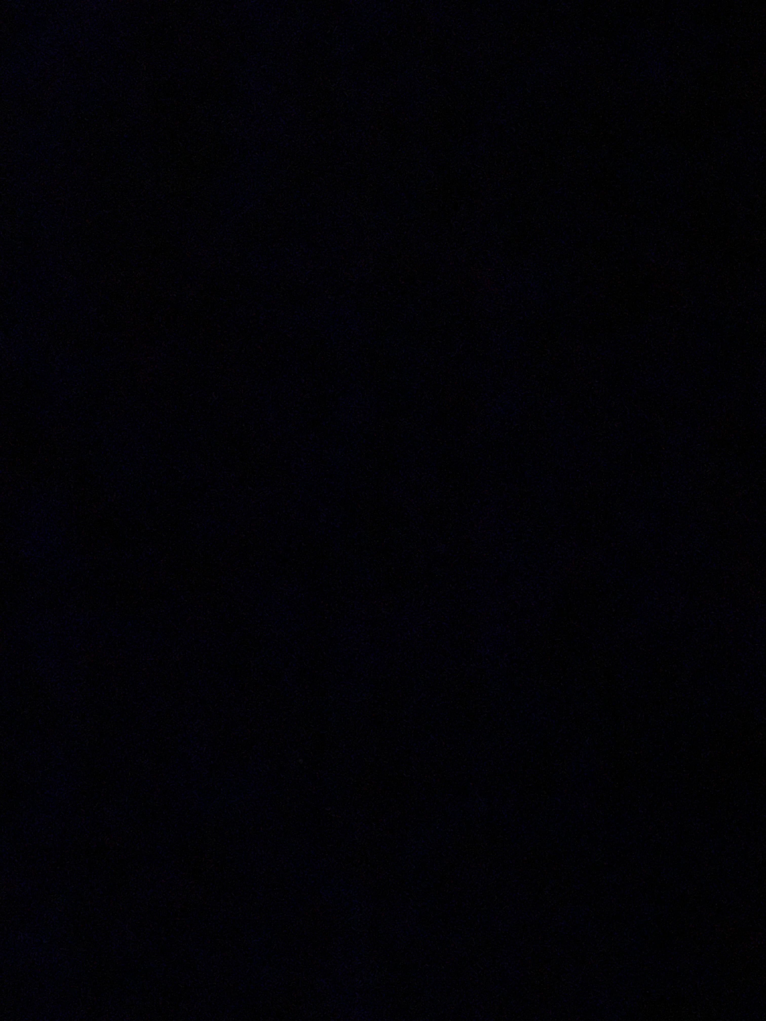 Miss BBW banner image