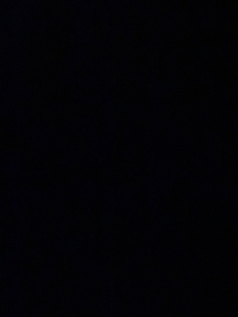 Miss BBW cover image