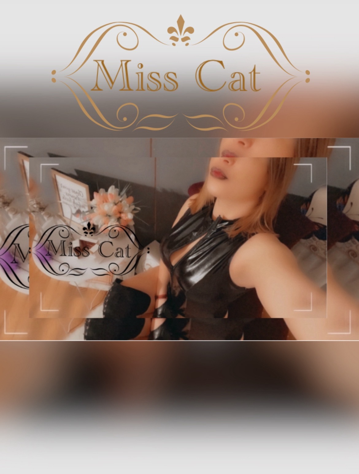 MissCat banner image