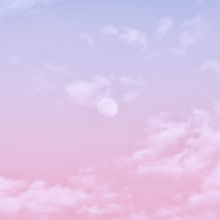 Miss Daygo cover image