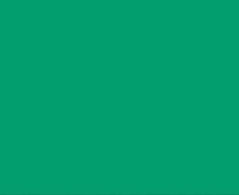 Carolina banner image
