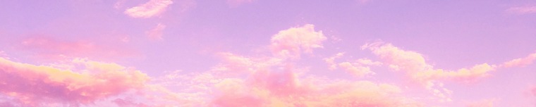 Miss Feetie cover image