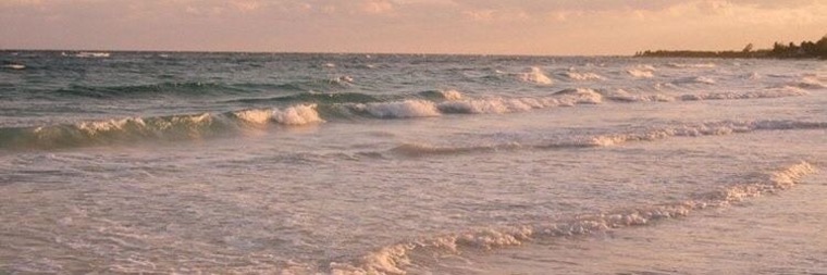 Valerie Miller banner image