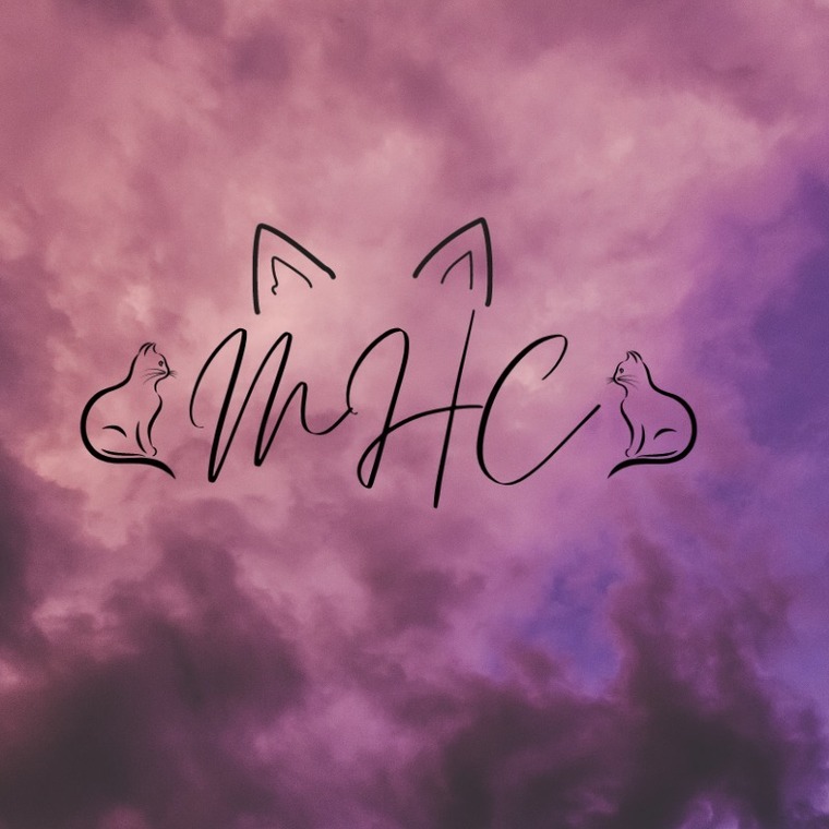 MissHoneyCat banner image