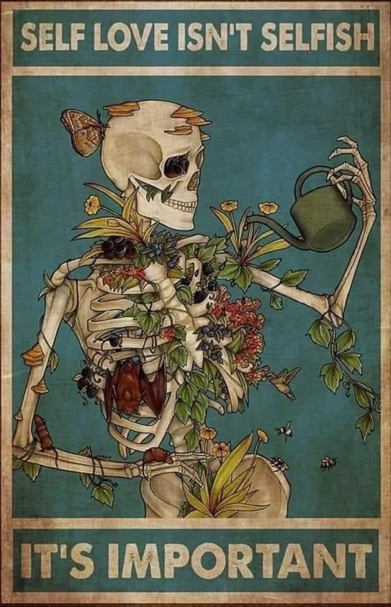 Miss Kane cover image