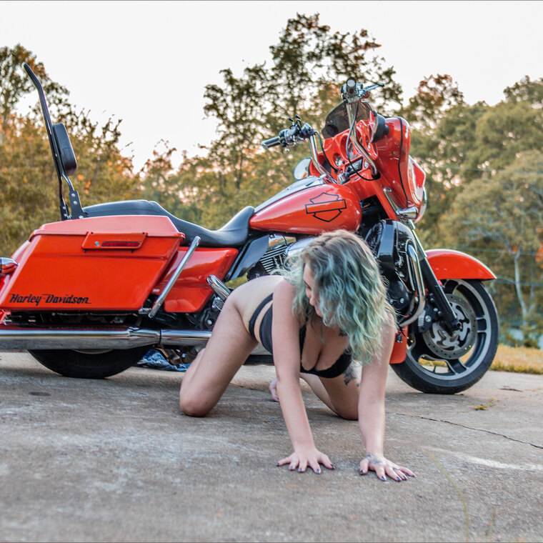 Misskittyy_2 cover image