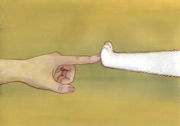 Miss Kitty banner image