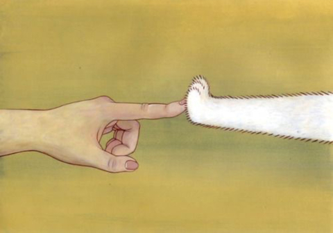 Miss Kitty cover image