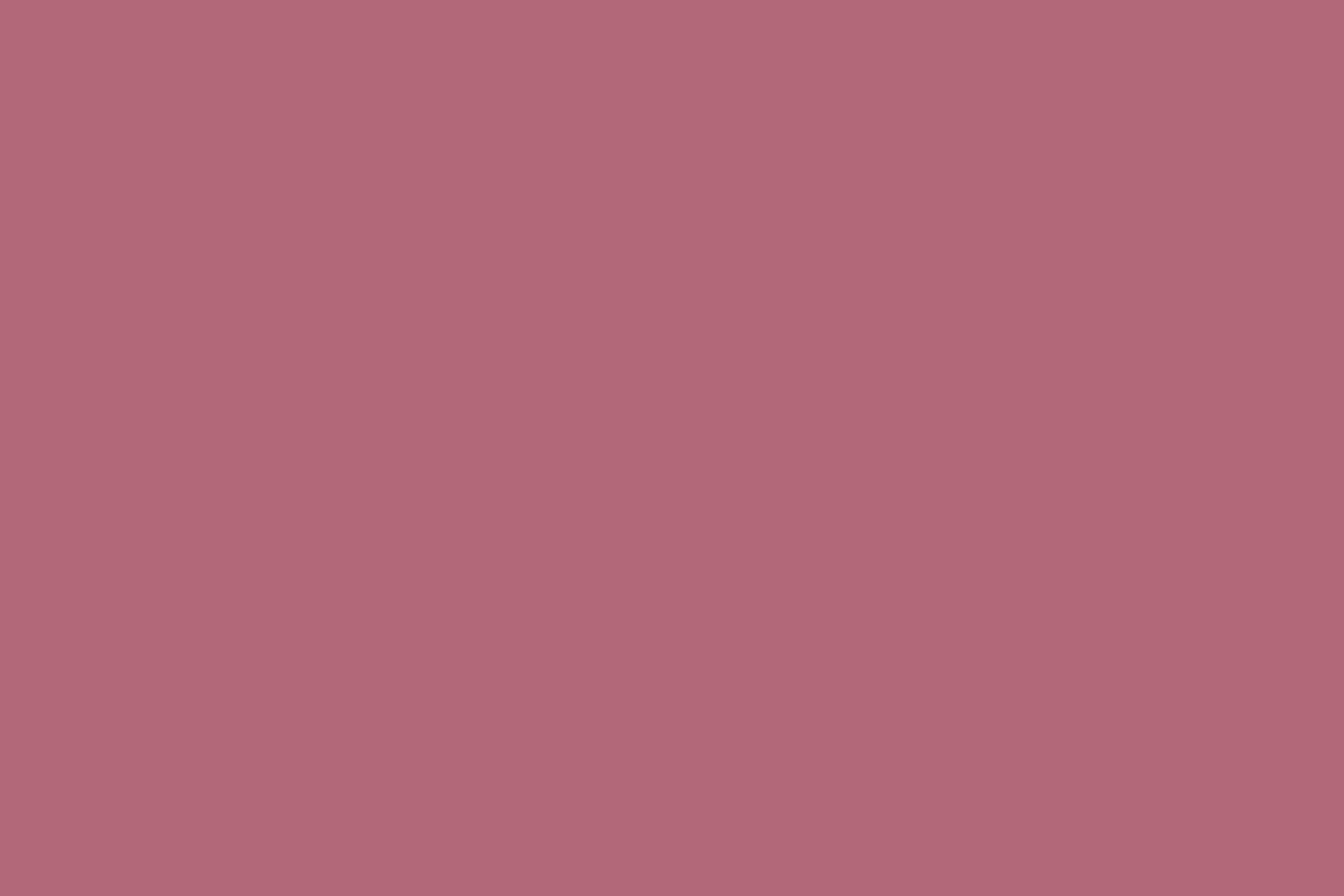 Liss banner image