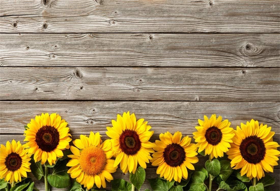 Misslovebugg banner image