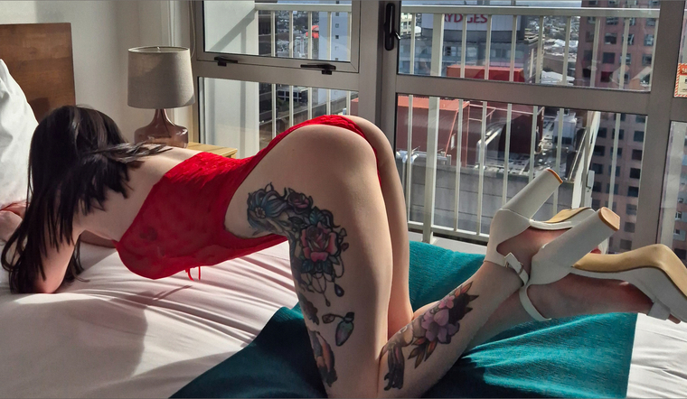 Molly ❤️ banner image