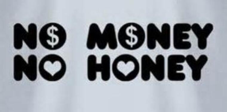 No Money, No Honey banner image