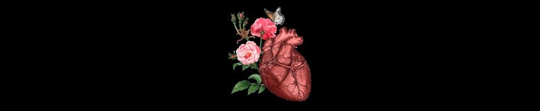 MissNerdyDirty cover image