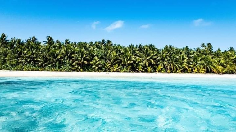 MsPacific cover image