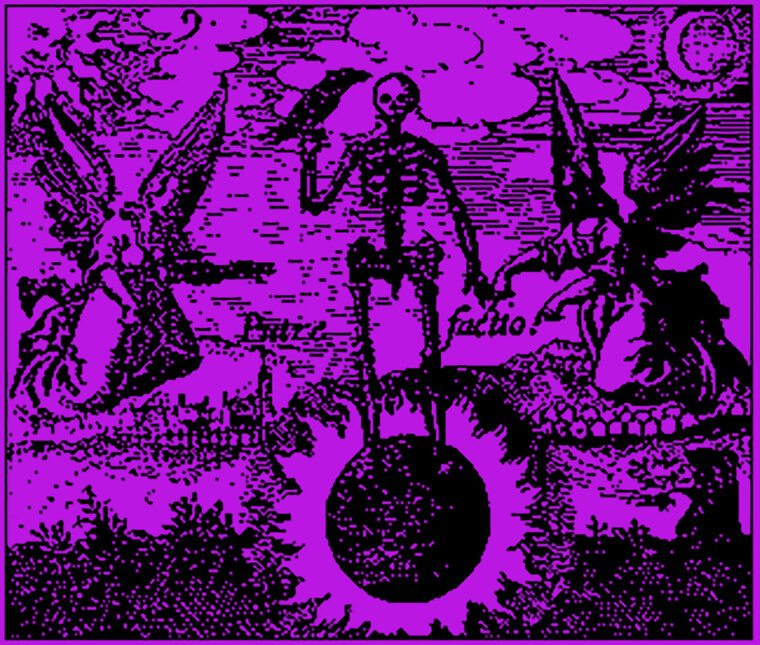 Paracelsia cover image