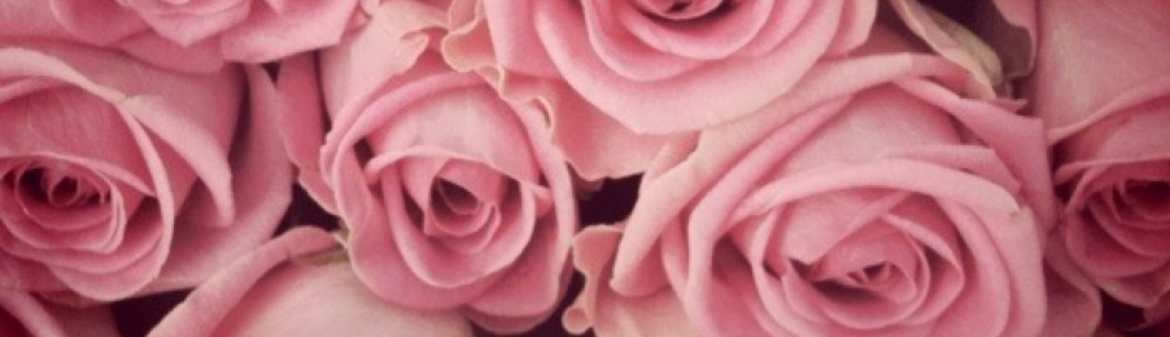 MissPhoebev banner image