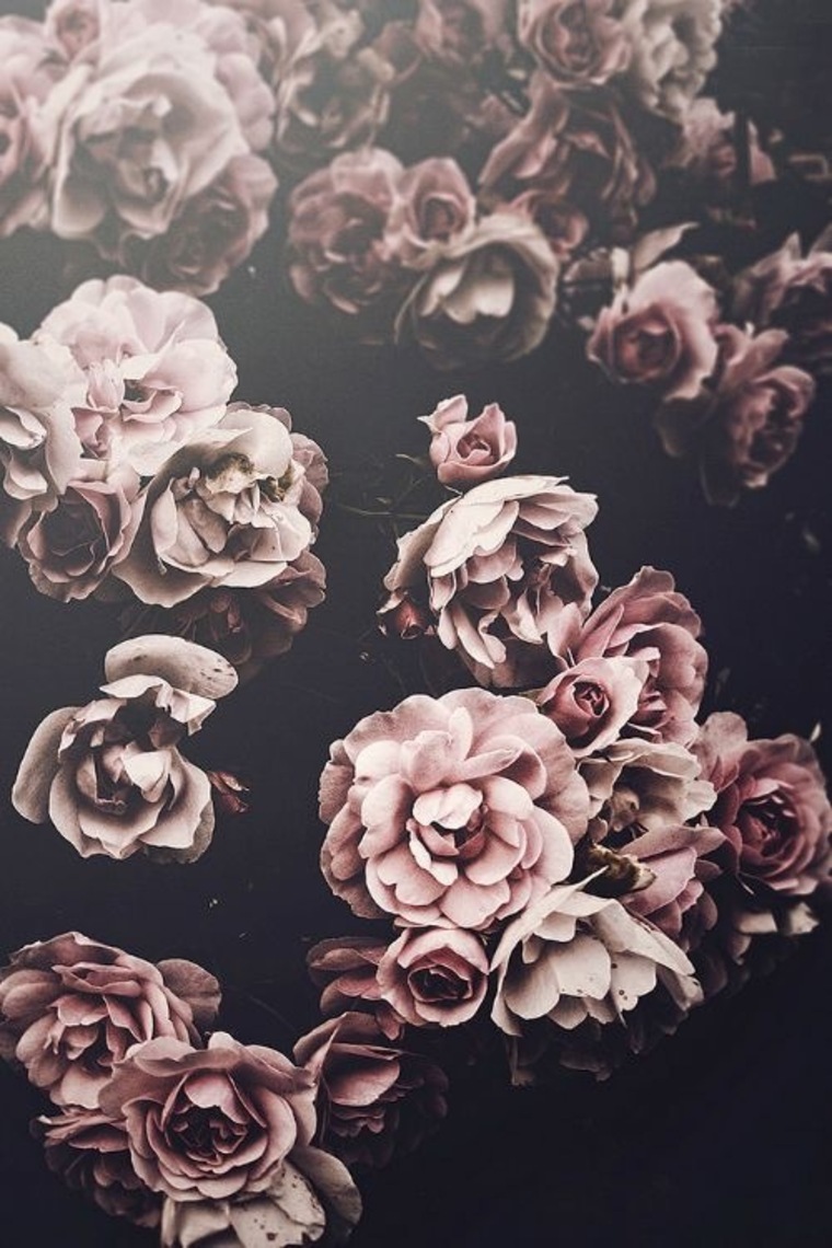 MissQueenK cover image