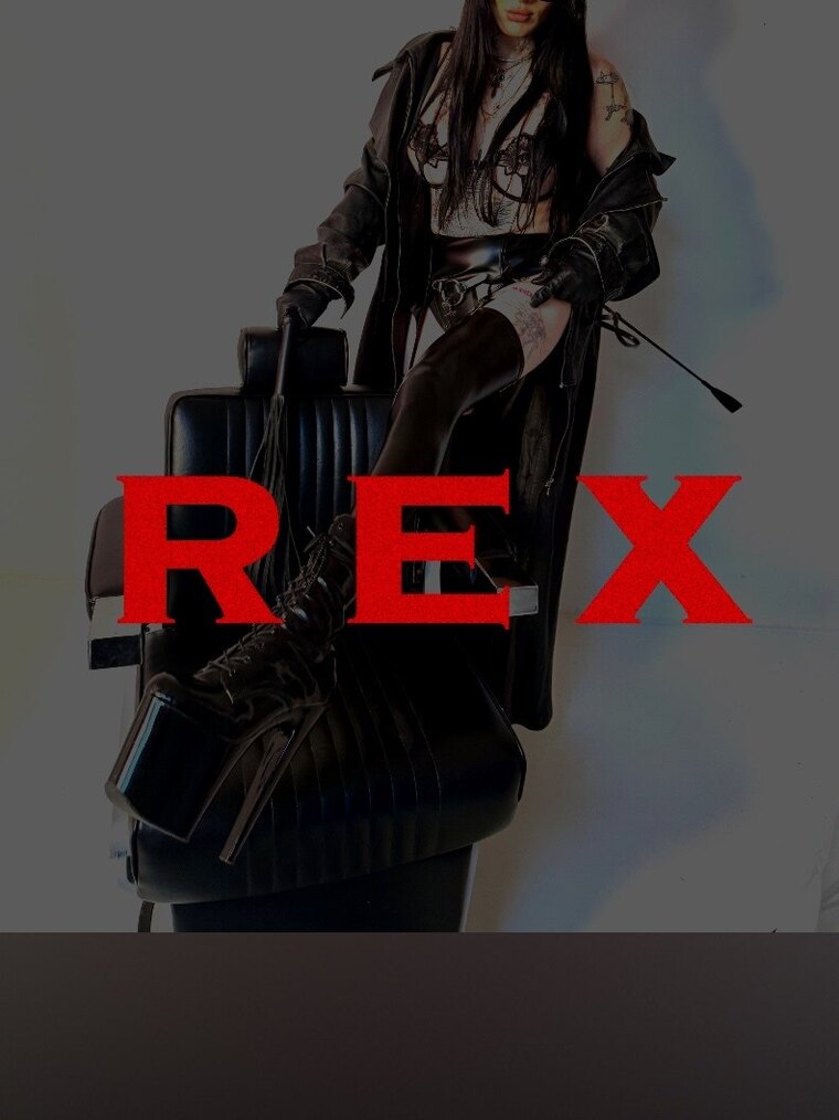 MissRex🏳️⚧️ banner image