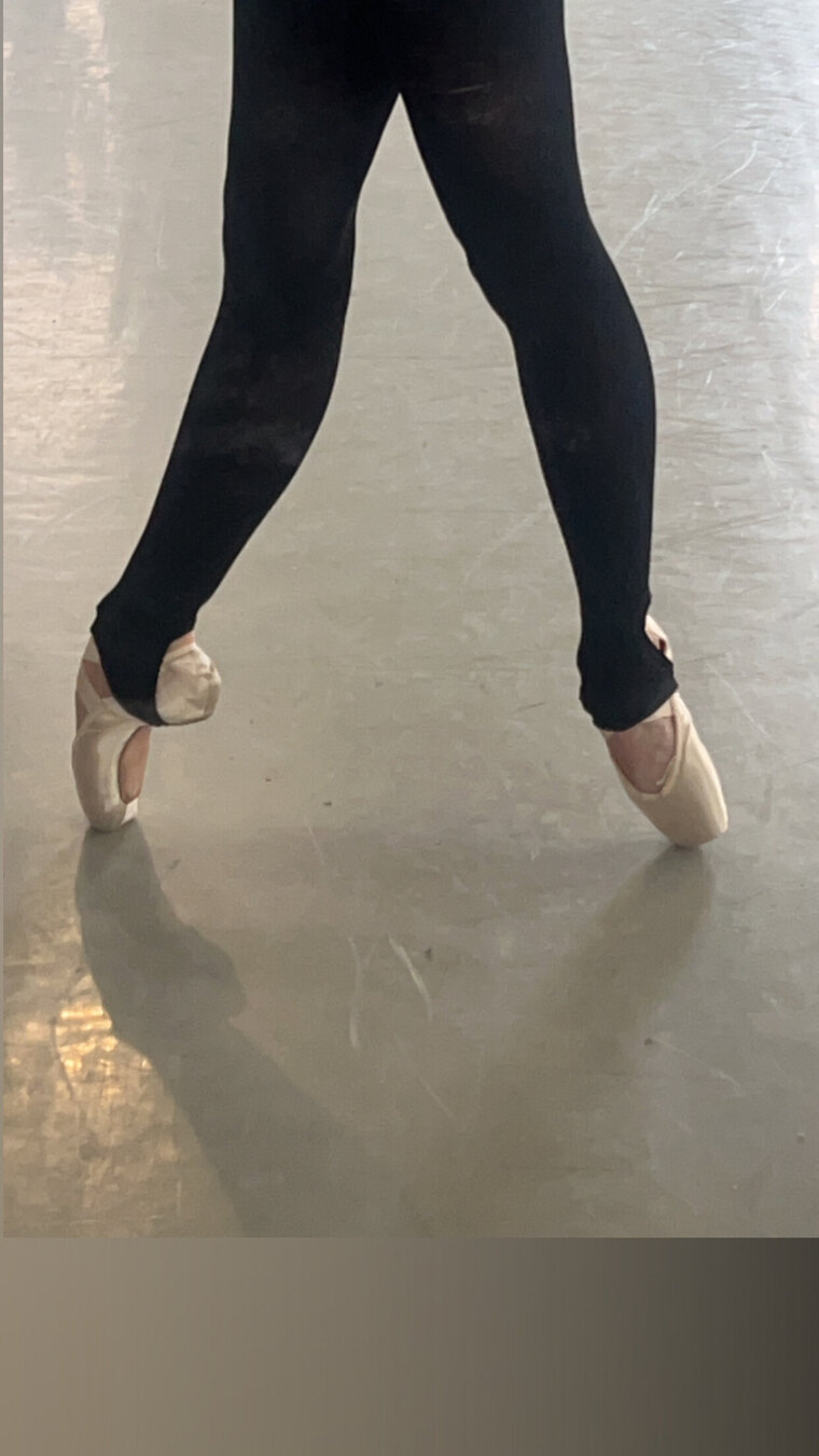 Rose Michele cover image