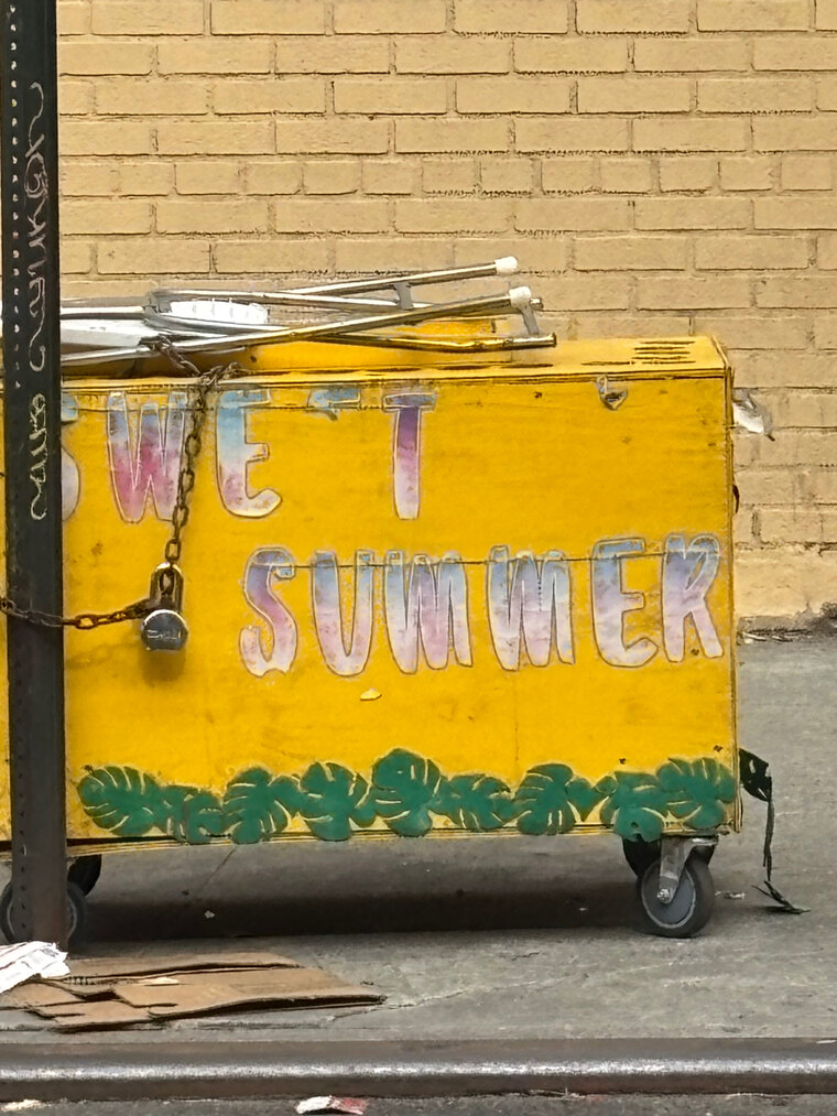Summer banner image