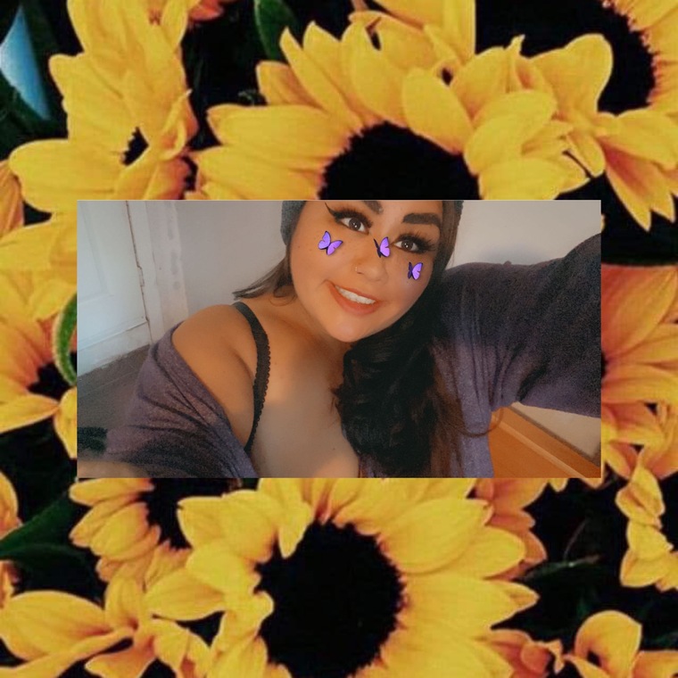 Misstress Sunflower ๐ป banner image