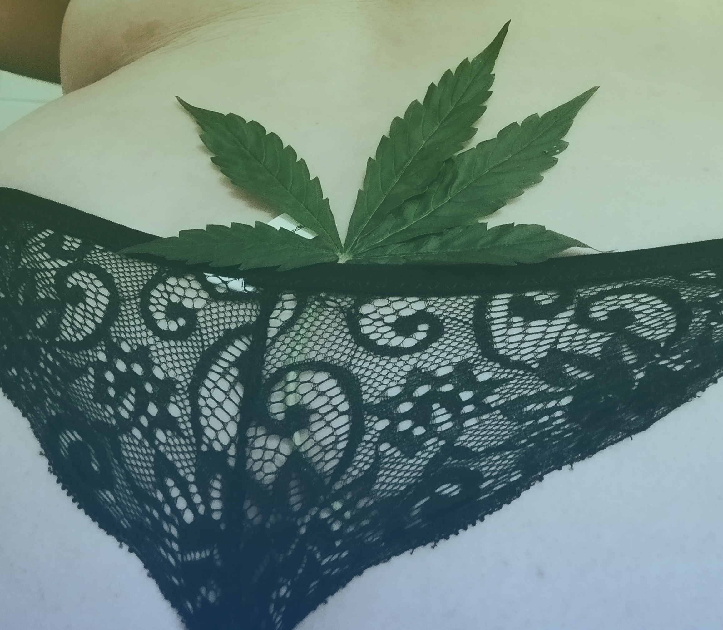 Miss Weed π banner image