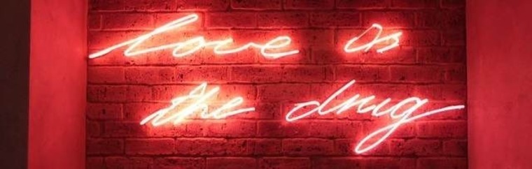 Rose banner image
