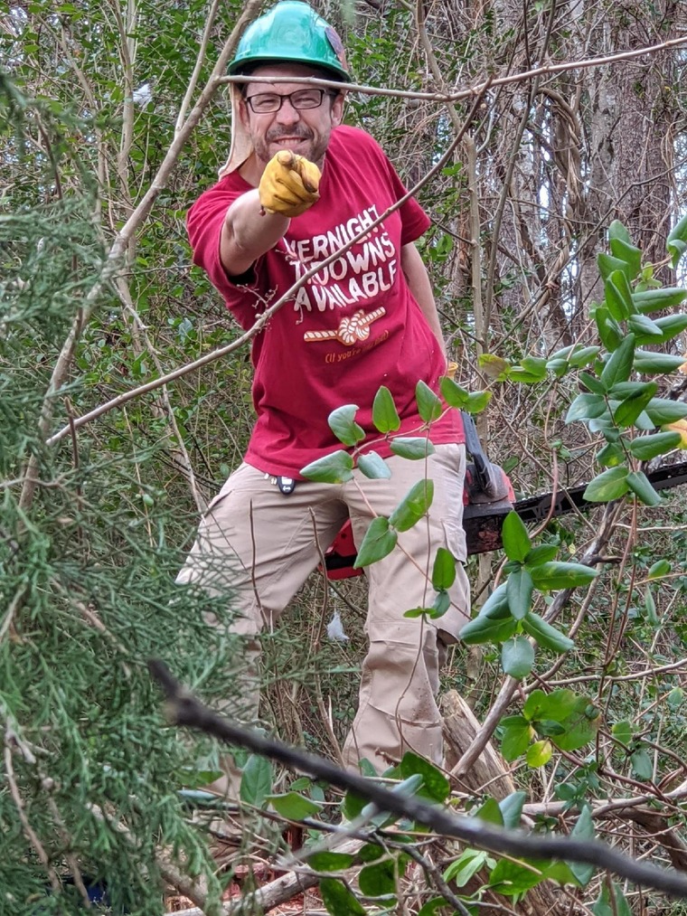 Mr. Oak cover image