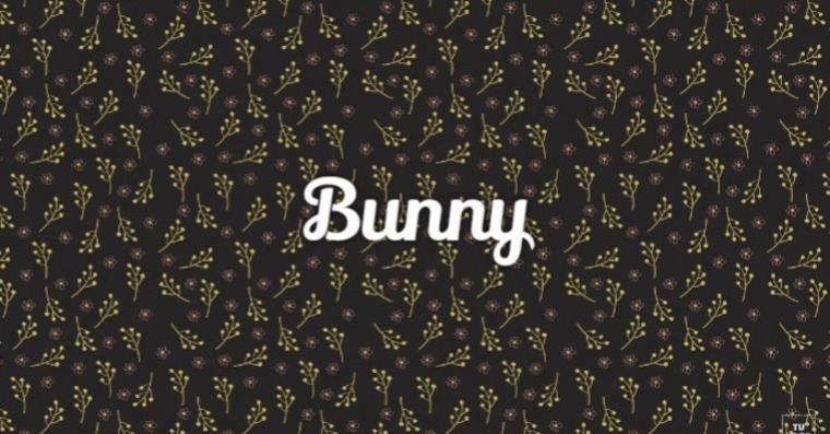 Bunny banner image