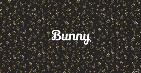 Bunny cover image