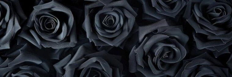 Mistress Blancka cover image