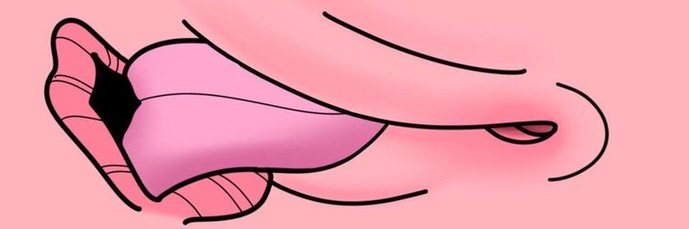 Blèu Ocean banner image