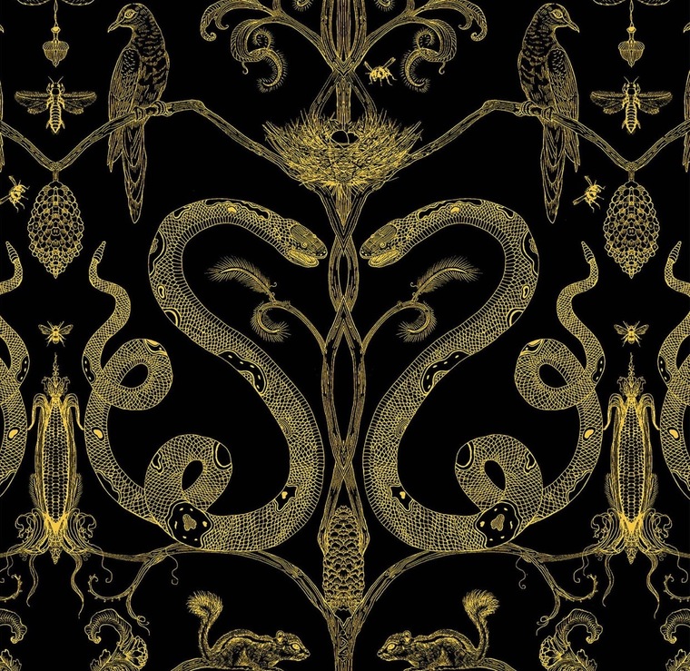 MistressFeetGoddess cover image