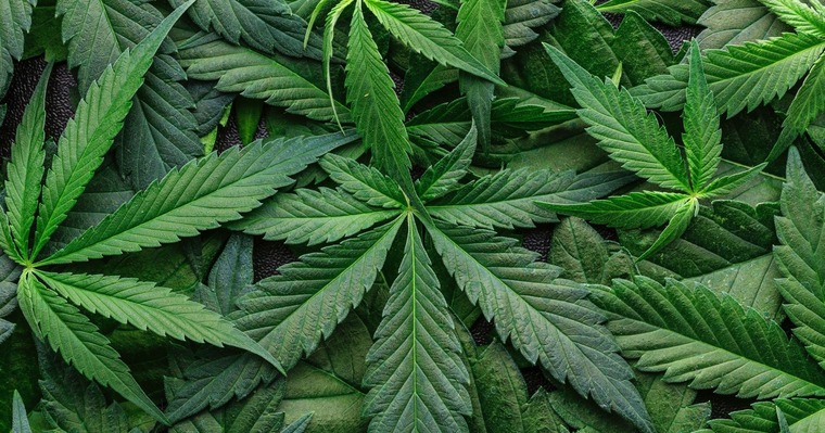 Mistress MaryJane banner image