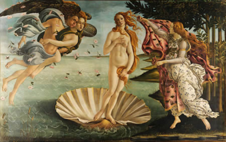 Venus cover image
