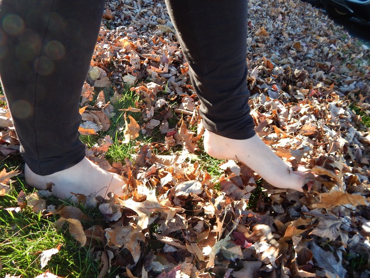 Mist Ringer Feet banner image