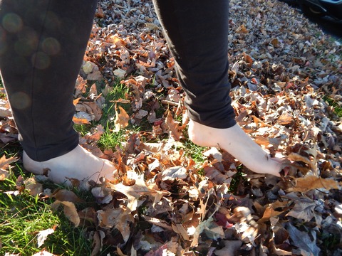 Mist Ringer Feet cover image