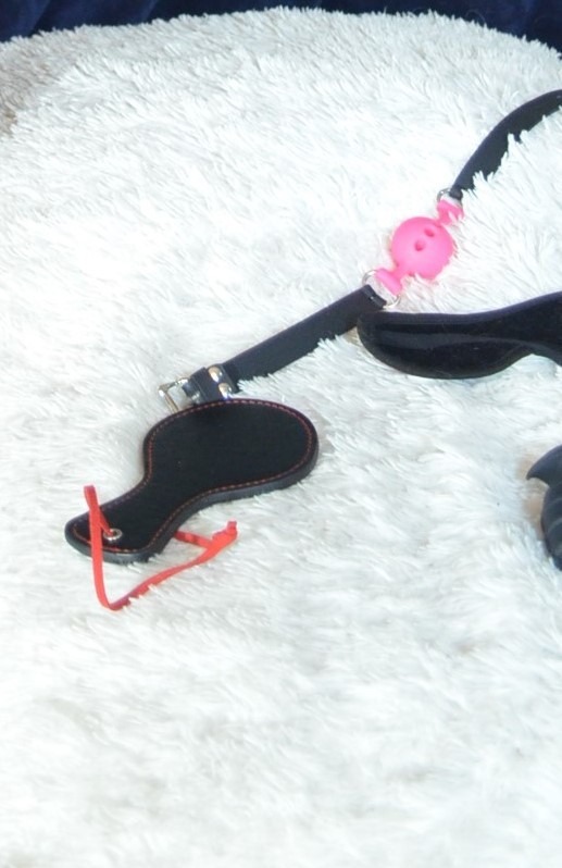 Mistress Mitzi Rosmarie banner image