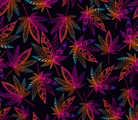 Naynay cover image