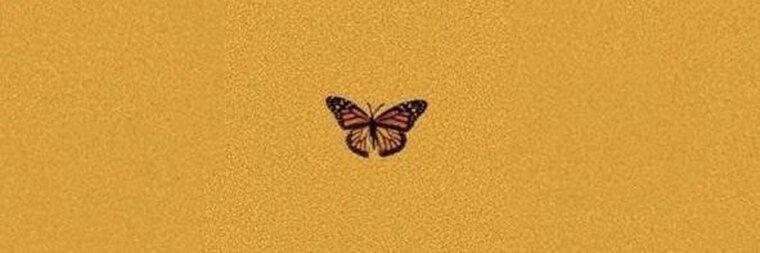 mixwjen cover image