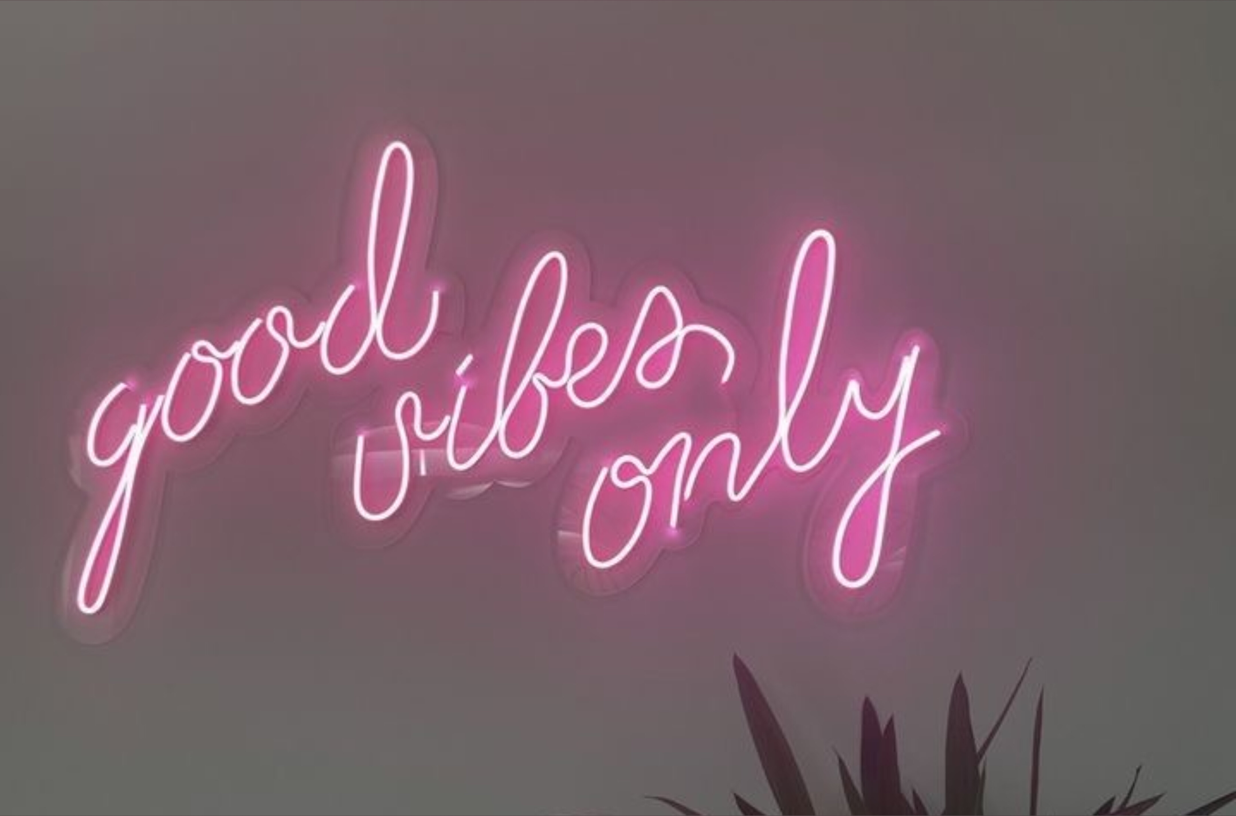 Mizz Ellaa ♊️ banner image