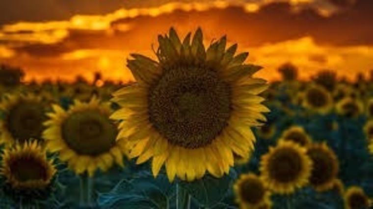 MizzR3d cover image